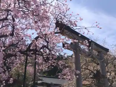春日神社(京都府)