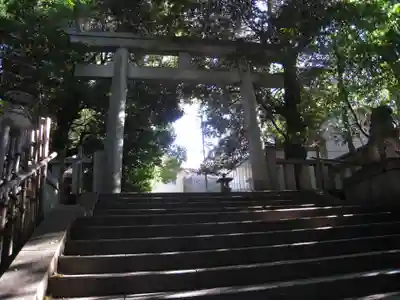 渋谷氷川神社(東京都)