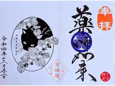 令和3年月替り御朱印 12月
『黒猫とフユイチゴ•薬師如来』