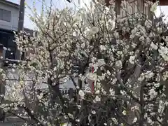 下御霊神社(京都府)