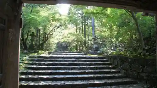 竹林寺(高知県)