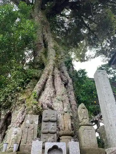 寳性寺の仏像