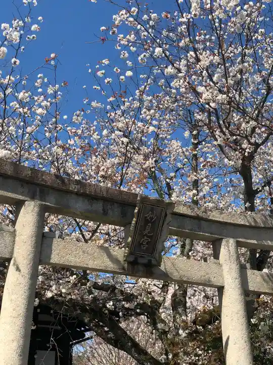 本満寺(本願満足寺)の鳥居