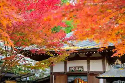 長谷寺(神奈川県)