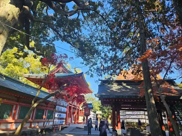 武蔵一宮氷川神社(埼玉県)