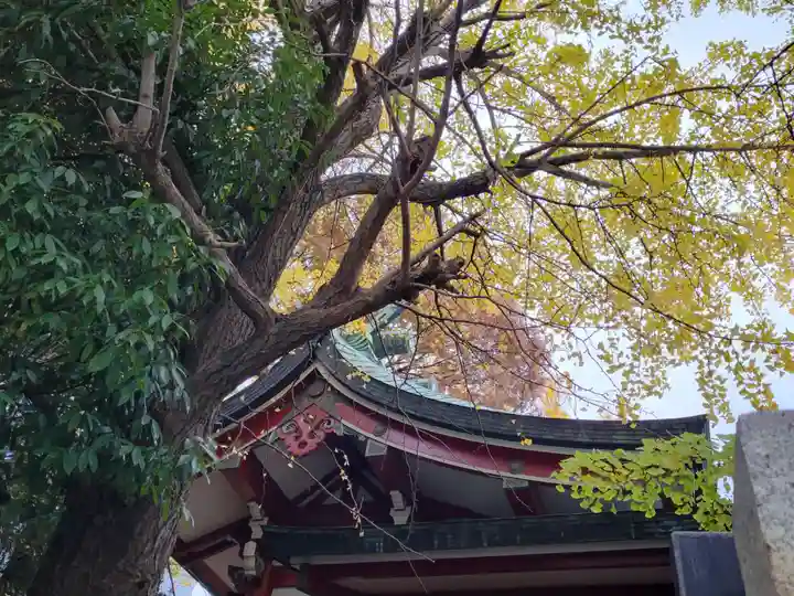 河原町稲荷神社の本殿・本堂