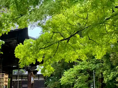 蚊里田八幡宮(長野県)