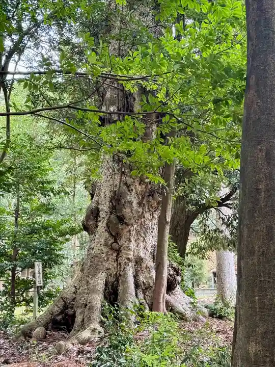 大宮賣神社(京都府)