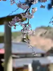 古町豊受大神宮の自然