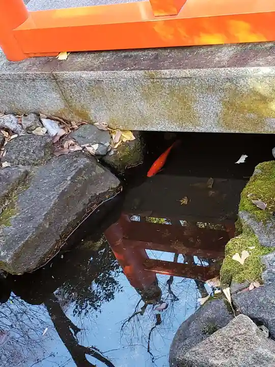 熊野神社(東京都)