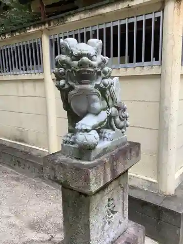 小木田神社の狛犬