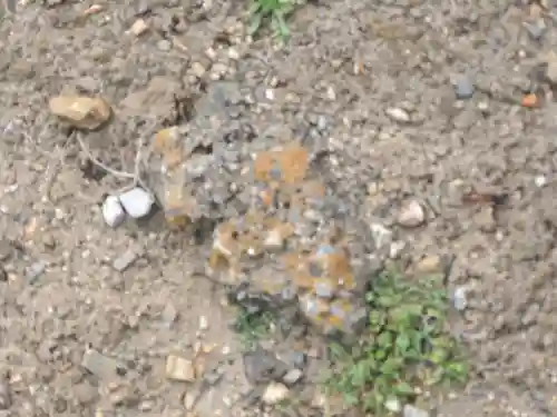 星宮神社 (常見町)(栃木県)