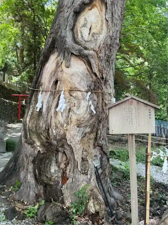 山名八幡宮(群馬県)