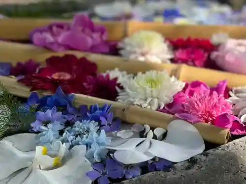 札幌護國神社の手水舎