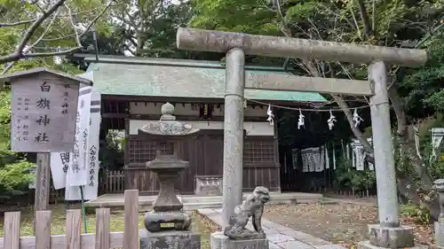 白旗神社(西御門)の鳥居