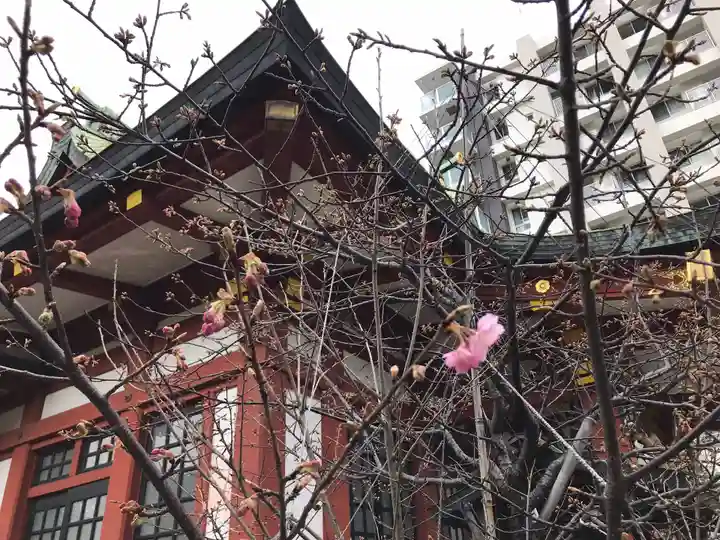 東神奈川熊野神社(神奈川県)