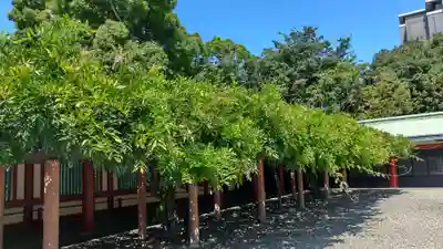 日枝神社(東京都)