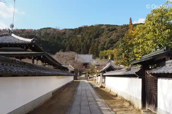 矢田寺(奈良県)