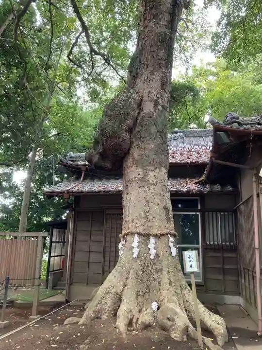 氷川女體神社(埼玉県)
