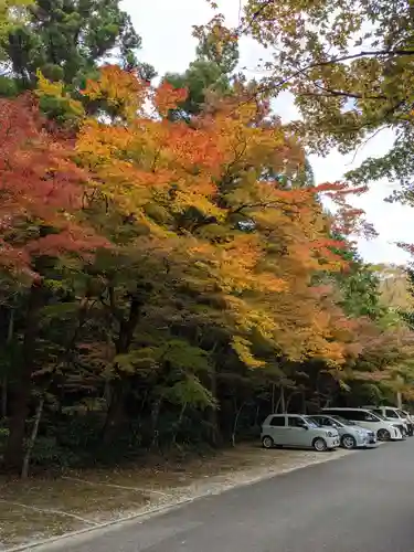 大矢田神社の自然