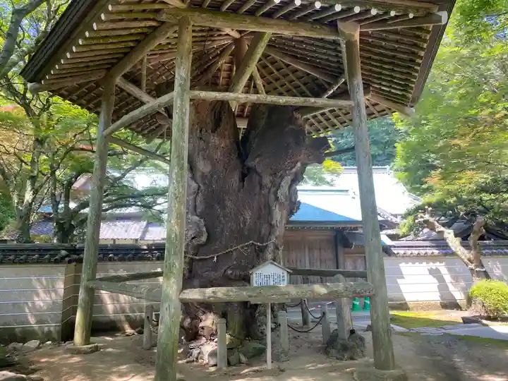 根香寺(香川県)