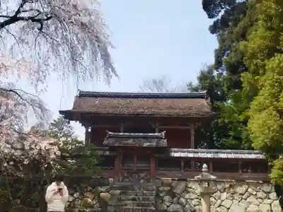醍醐寺(京都府)
