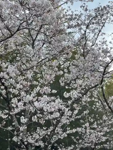 安楽寺(愛知県)