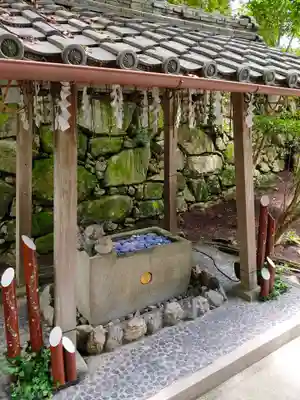 村雲御所瑞龍寺門跡の手水舎