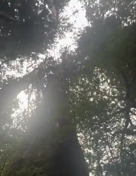 箱根神社(神奈川県)