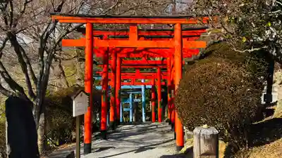 足利織姫神社(栃木県)