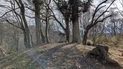 山の神古墳のお墓