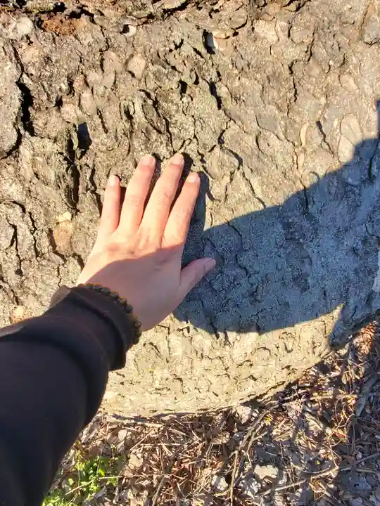 琴平神社(群馬県)