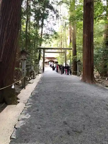 椿大神社の鳥居