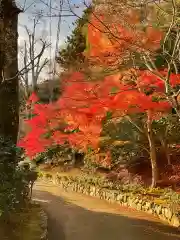 永源寺(滋賀県)