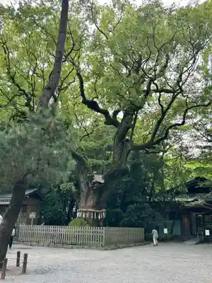 熱田神宮(愛知県)