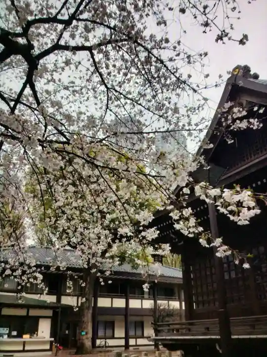 熊野神社(東京都)