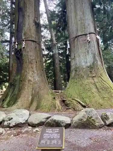 河口浅間神社(山梨県)