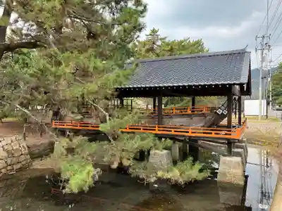 桂濱神社(広島県)