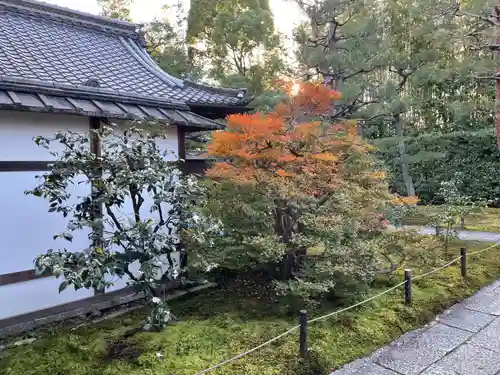 大雄院(京都府)