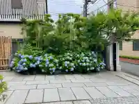 観妙寺(東京都)