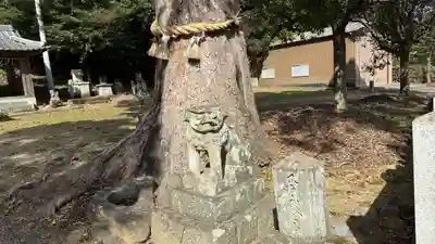 敷島神社(徳島県)