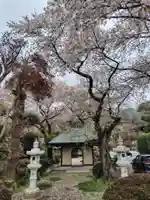 大蔵寺(埼玉県)