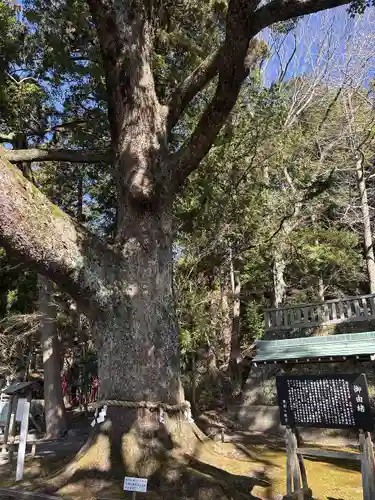 事任八幡宮(静岡県)