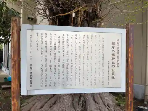 根岸八幡神社の{uncategorized: "未分類", other: "その他", undefined: "問題あり", building: "その他建物", grave: "お墓", sacred_gate: "鳥居", guardian: "狛犬", statue: "像", buddha: "仏像", history: "歴史", nature: "自然", garden: "庭園", animal: "動物", pagoda: "塔", temizu: "手水舎", mountain_gate: "山門・神門", sanctuary: "本殿・本堂", subordinate: "末社・摂社", art: "芸術", scenery: "景色", jizo: "地蔵", ema: "絵馬", goshuin: "御朱印", omikuji: "おみくじ", items: "授与品その他", amulet: "お守り", goshuincho: "御朱印帳", eats: "食事", festival: "お祭り", votive_dance: "神楽", shichigosan: "七五三参", wedding: "結婚式", experience: "体験その他", initially: "初詣", around: "周辺", anti_infection: "感染症対策"}