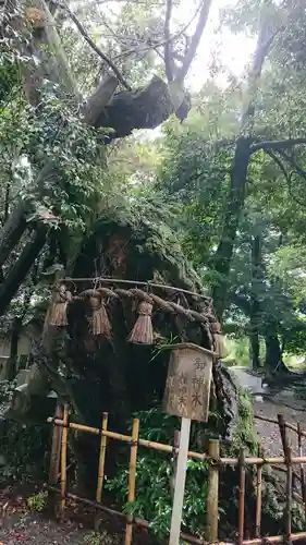 川尻八幡宮の自然