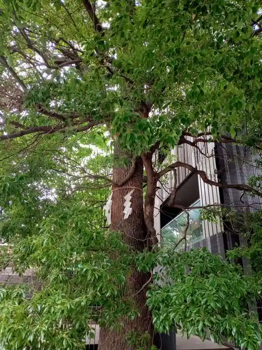 赤城神社の自然