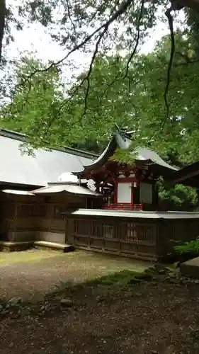 河口浅間神社の本殿