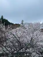 南法華寺(壷阪寺)(奈良県)