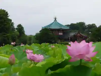 寛永寺不忍池弁天堂(東京都)