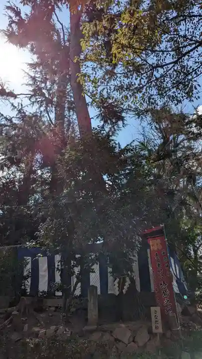 安居神社の自然